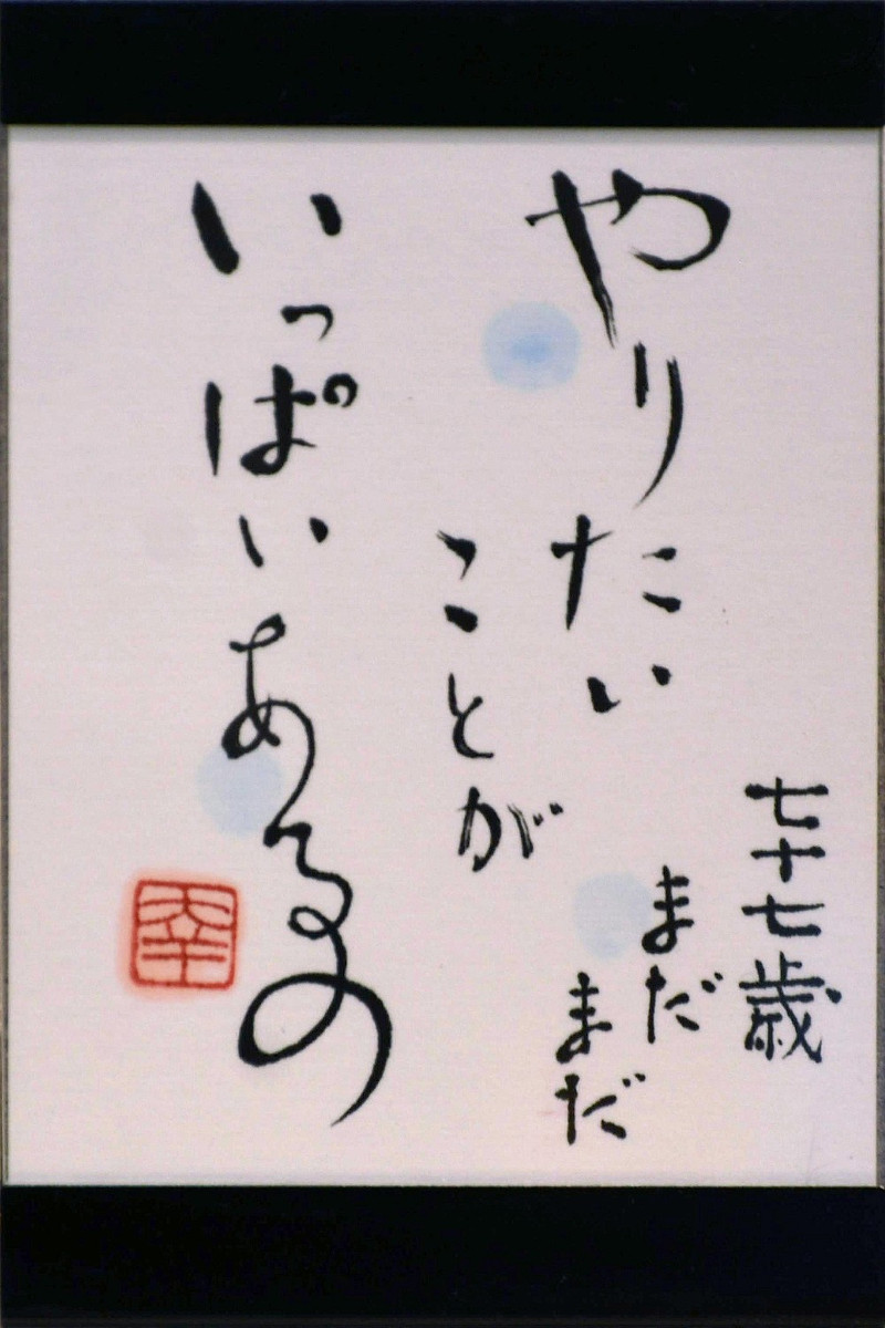As_0739_3
