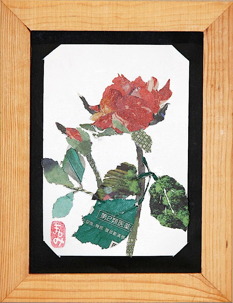 Sdsc_9045