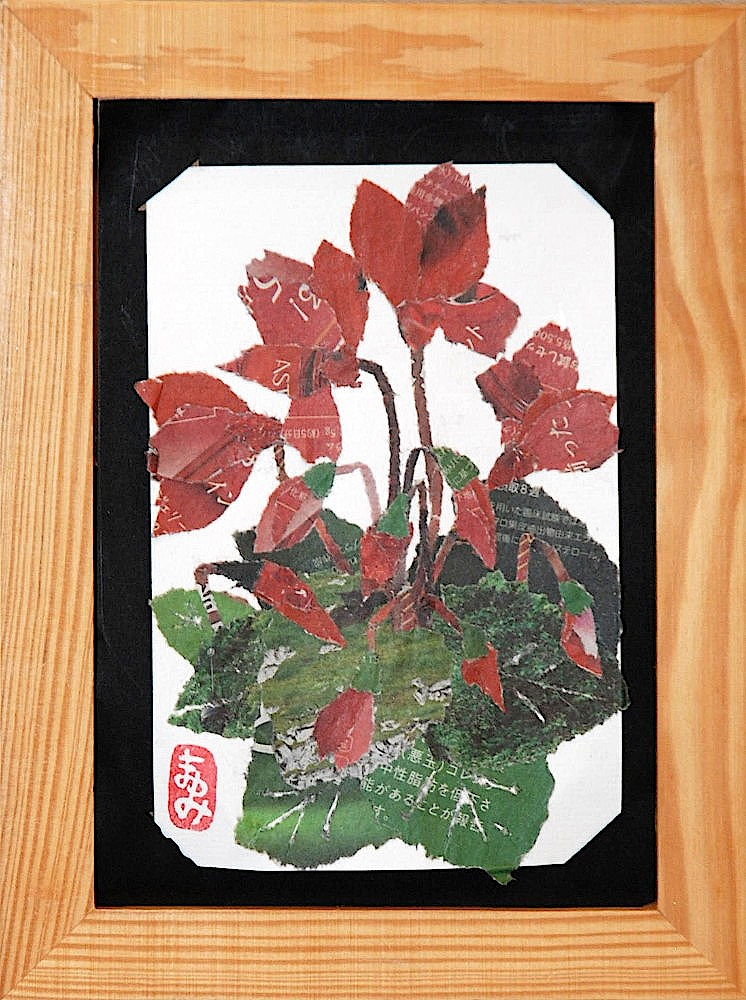 Sdsc_9062