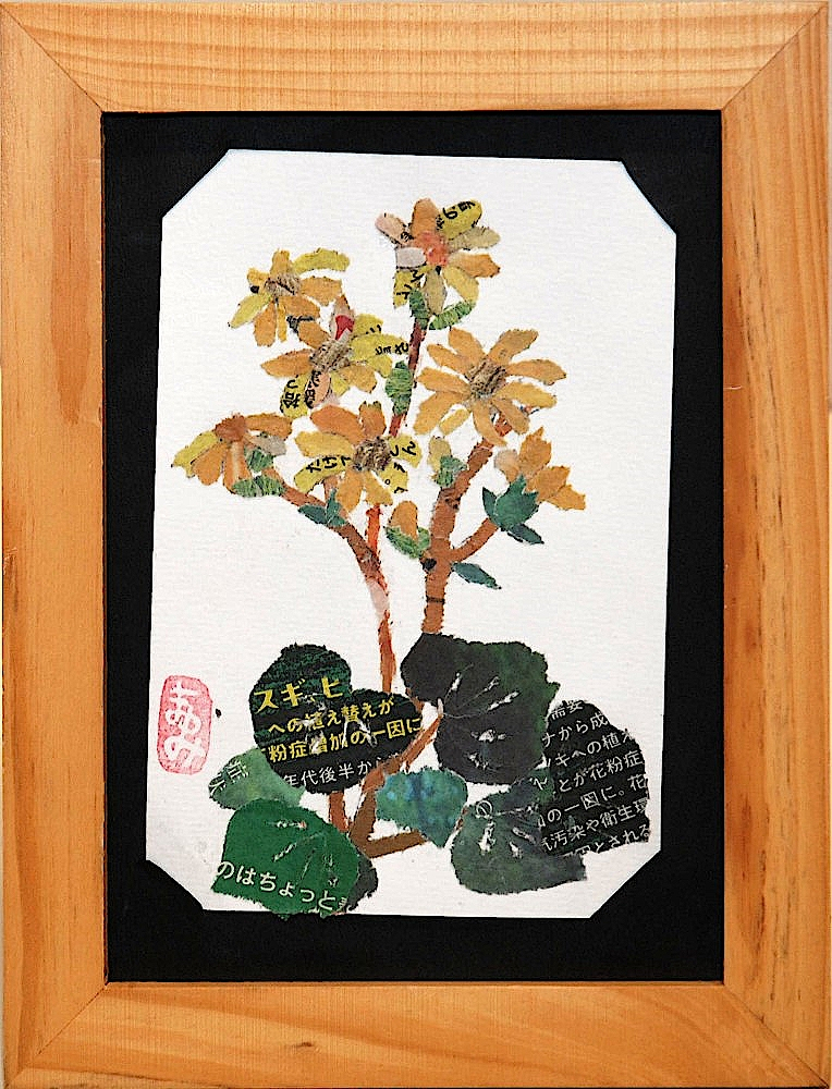 Sdsc_9073