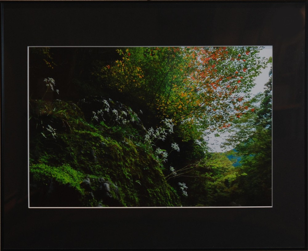 No10s_0044_0000