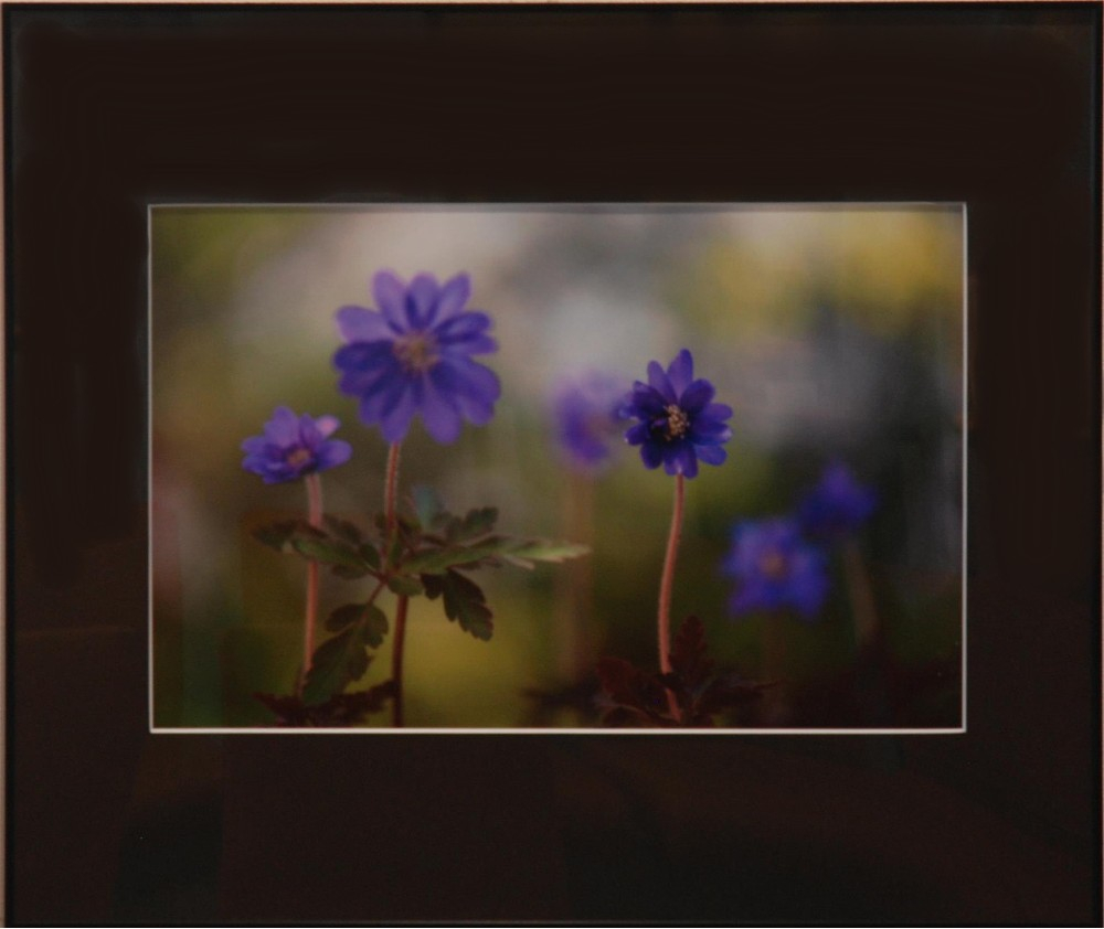 No8s_9933_0000